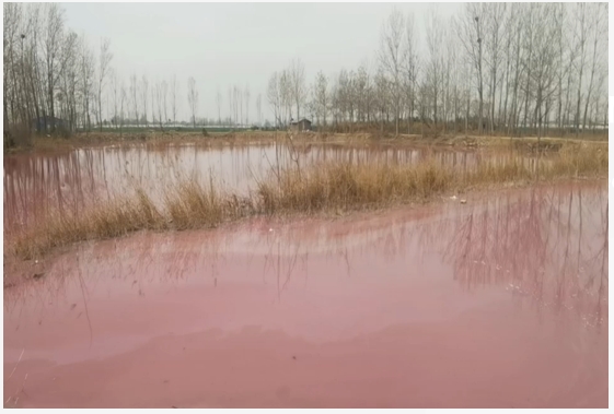 印染污水泄露河道水体修复